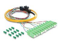 Delock Fibre Optic Pigtail Fanout Cable