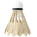 Badmintonové loptičky NILS NBL6216 multicolor 6 ks