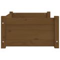 vidaXL Psia posteľ medovo-hnedá 65,5x50,5x28 cm borovicový masív