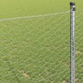 vidaXL Hexagonálny plot 1 x 10 m Pozinkovaná oceľ Strieborná