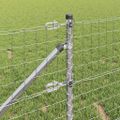 vidaXL Záhradný európsky plot s hrotmi 50 x 0,4 m Pozinkovaná oceľ