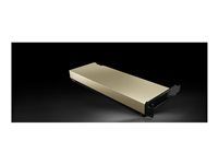 NVIDIA L4 - Grafický počítačový procesor - L4 - 24 GB - pre P/N: HCIAF220C-M7SN, HCIAF240C-M7SN-FRE, HCINX220C-M8S, HCINX225C-M8SN, HCINX240C-M8E3S