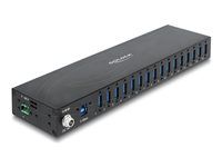 Delock - Rozbočovač - priemyselný, 5 Gbps, s ochranou ESD 8 kV - 16 x SuperSpeed USB 3.0 - možné montovať na lištu DIN, na upevnenie na stenu