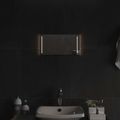 vidaXL Zrkadlo do kúpeľne s LED Priehľadná 40 x 20 cm tvrdené sklo