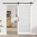 vidaXL Posuvné dvere 93 x 202 cm Masívne borovicové drevo a sklo