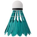 Badmintonové loptičky NILS NBL6216 multicolor 6 ks