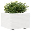vidaXL Záhradný kvetináč biely 70x70x49,5 cm borovicový masív