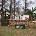 Skladací box s vekom NILS Camp NCB4004 50L zelený