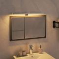 vidaXL LED lampa na zrkadlo 7,5 W, teplé biele svetlo 50 cm 3000 K