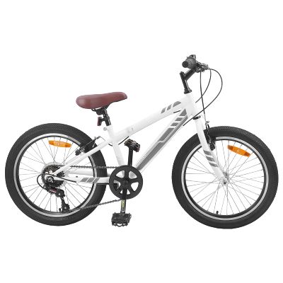 vidaXL Horský Bicykel 20 Palcov 6-Speed pre deti vo veku 5-8 rokov