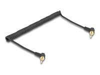 Coiled Cable 3.5 mm 3 pin Stereo jack ma