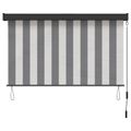vidaXL Roleta Antracitová a biela 60 x 250 cm Textil a hliník