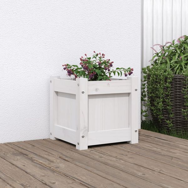 vidaXL Záhradný kvetináč biely 31x31x31 cm masívna borovica