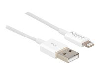 Kabel Lightning - Lightning s piny (male) do USB s piny (male) - 1 m - bílá