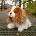 Plyšový pes King Charles španiel 25 cm ECO-FRIENDLY