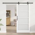 vidaXL Posuvné dvere Biela 93 x 202 cm Masívne borovicové drevo a sklo