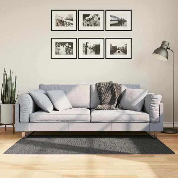 vidaXL Koberec IZA krátky vlas škandinávsky vzhľad antracit 80x150 cm