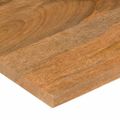 vidaXL Stolová doska so zakrivením 110x50x2,5 cm surový mangový masív