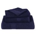 vidaXL Utierky na umývanie FROGN 10 ks námornícka modrá 30x30 cm 360 g/m²