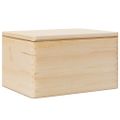vidaXL drevená krabička s vekom 40x30x23 cm masívna borovica
