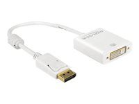 Nástroj na prevod videa - DVI - DisplayPort - biela