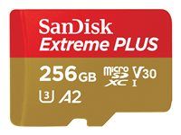 Paměťová karta flash (adaptér microSDXC na SD zahrnuto) - 256 GB - A2 / Video Class V30 / UHS-I U3 / Class10 - microSDXC UHS-I