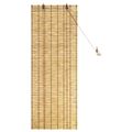 vidaXL Roleta Prírodná 60 x 160 cm Rákosie