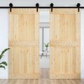vidaXL Dvere NARVIK 100 x 210 cm Masívne borovicové drevo (neupravené)