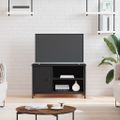 vidaXL TV skrinka čierna 80x40x50 cm spracované drevo