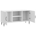 vidaXL TV skrinka Biela s vysokým leskom 102 x 34,5 x 50 cm