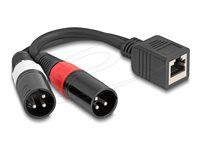 Adaptérový kábel RJ45 jack na 2 x XLR 3 pin