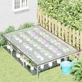 VidaXL Priehľadná plachta s okami 2x3 m Polyetylén