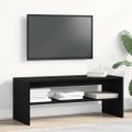 VidaXL TV skrinka Dub čierny 100x40x40 cm Drevo