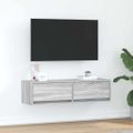 vidaXL TV skrinka 100 x 31 x 25,5 cm Sivý dub sonoma Kompozitné drevo