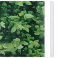 vidaXL PVC lišty na ochranu súkromia 140x0,19 m zelené