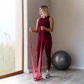 Latexová sada cvičebních pásů Long Band LTs-1, 2,5-20 kg, 5 pásů, barevná, REBEL ACTIVE