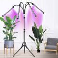 Pozemná LED lampa Gardlov 19388