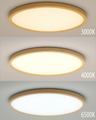 LED stropní 3CCT svítidlo TR-72S - 18W 1850lm ø23x2,5cm Trixline