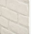 vidaXL Nástenné panely 10 ks 100 x 50 cm Biela EPS pena