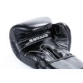 Boxerské rukavice DBX BUSHIDO B-ProFight 12 oz