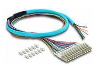 Delock Fibre Optic Pigtail Fanout Cable