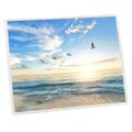 vidaXL Fotorámiky na stenu, koláž 5 ks, biele 40x50 cm, MDF