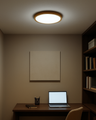 LED stropní 3CCT svítidlo TR-72S - 18W 1850lm ø23x2,5cm Trixline