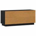 vidaXL TV skrinka 102 x 35 x 45 cm Čierny dub Kompozitné drevo