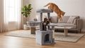 REBEL ANIMALS RA-1003 škrabadlo pre mačky 40x30x80 cm