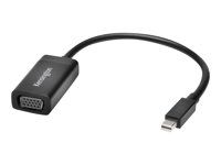 Nástroj na prevod videa - DisplayPort - VGA - čierna