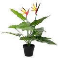 vidaXL Umelá rastlina Strelitzia Zelená 65 x 13 x 55 cm