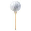 vidaXL Golfové odpalisko 1000 ks 70 mm bambus