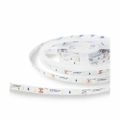 Modee LED pás 30m DC12V 4,8W studená biela (MLLS12V22W60L)