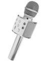Karaoke mikrofón WS-858/Izoxis 22188 SILVER Karaoke mikrofon WS-858 / Izoxis 22188 SILVER